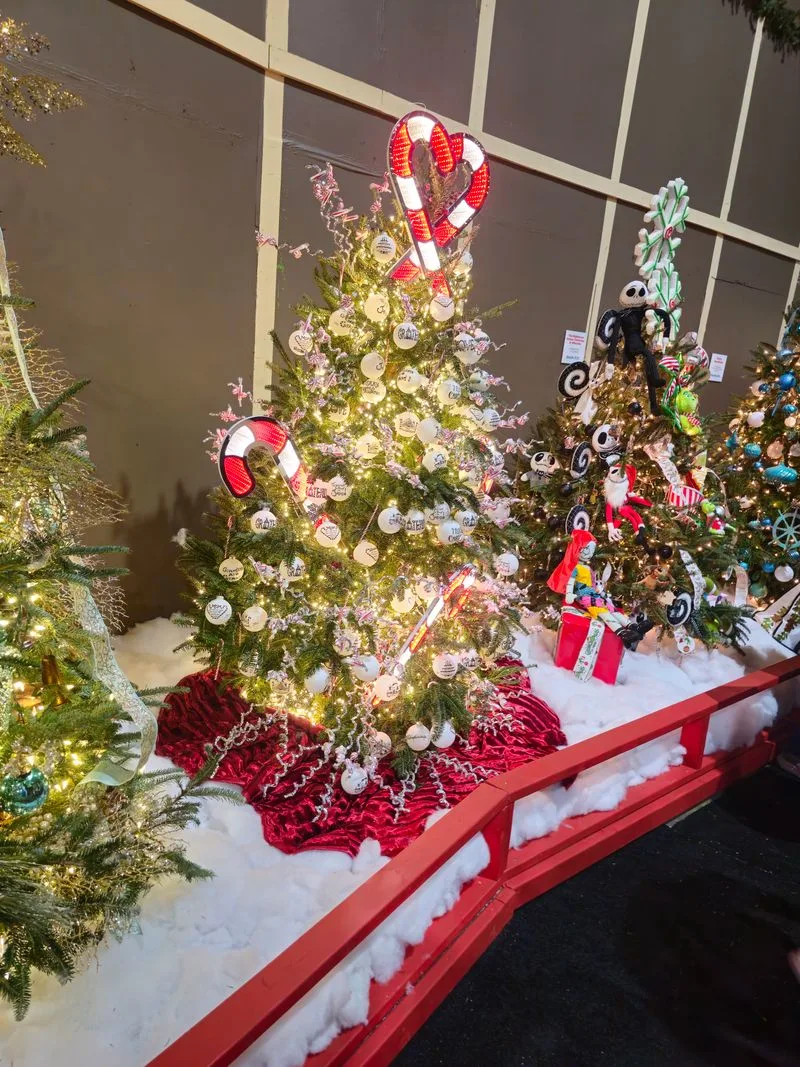 Southern Christmas Show, Charlotte