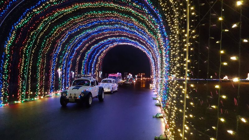 Neighborhood light hunts beyond Peacock Lane