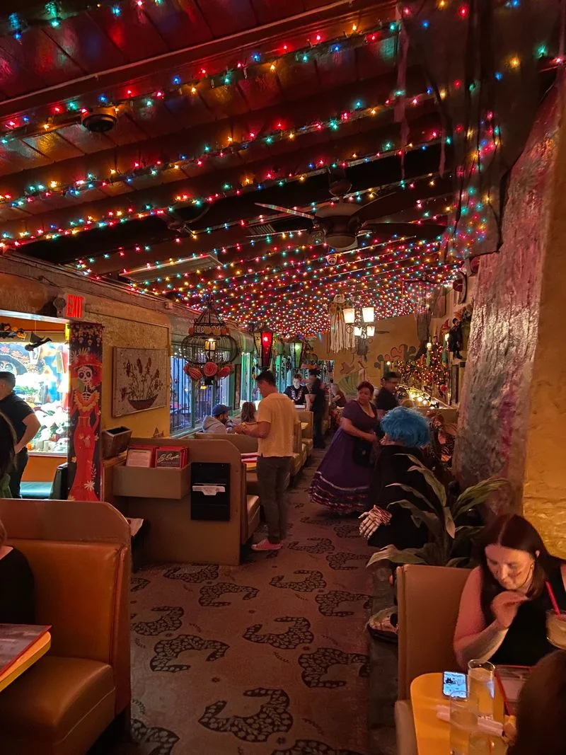 Practical details and hours