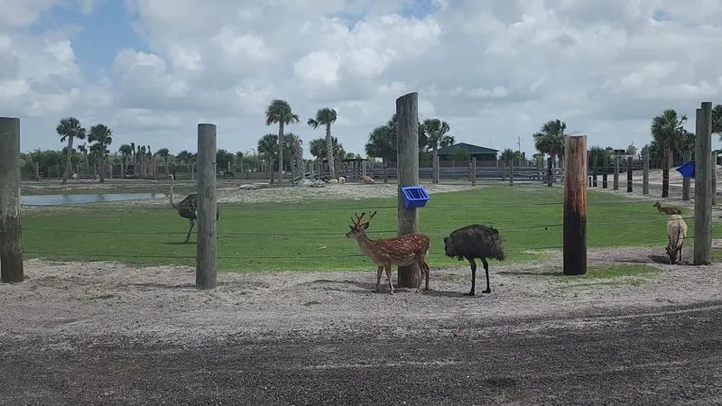 Safari Park Animals to Watch For