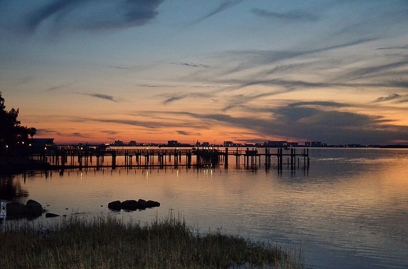 Palm-Wrapped Streets and Neighborhood Displays