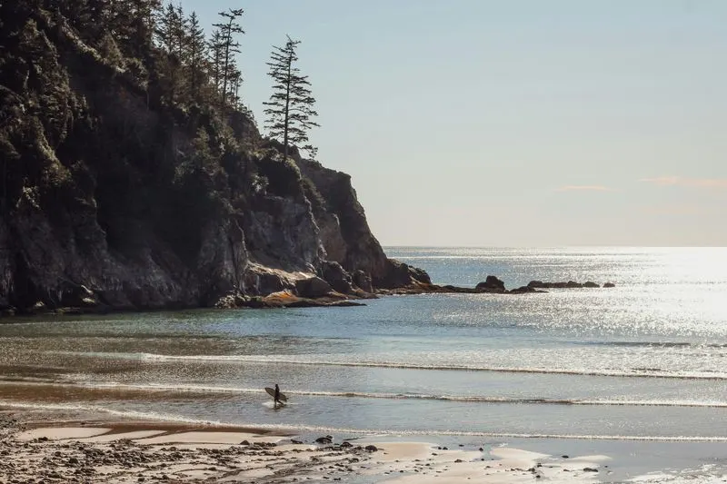 Oswald West State Park