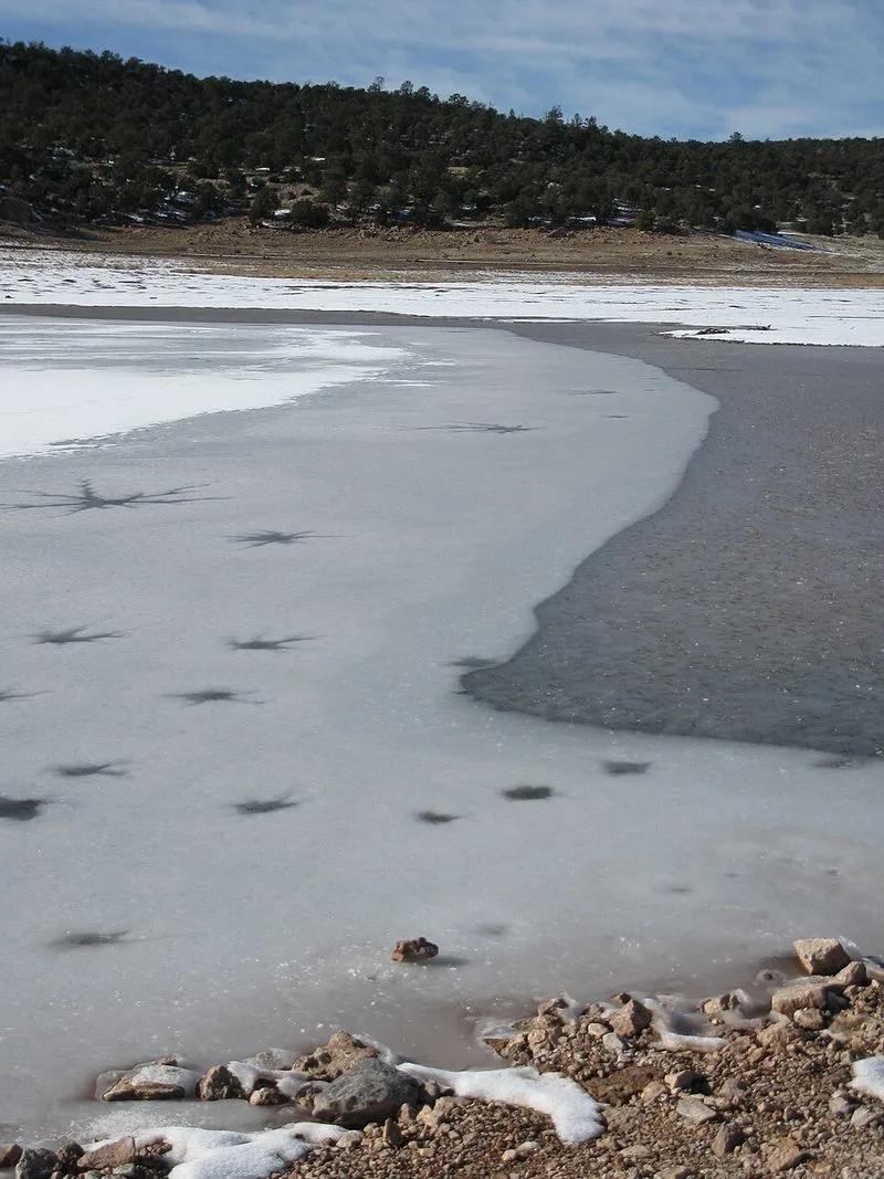 Bluewater Lake State Park