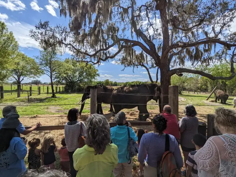 Conservation Stories Under The Oaks