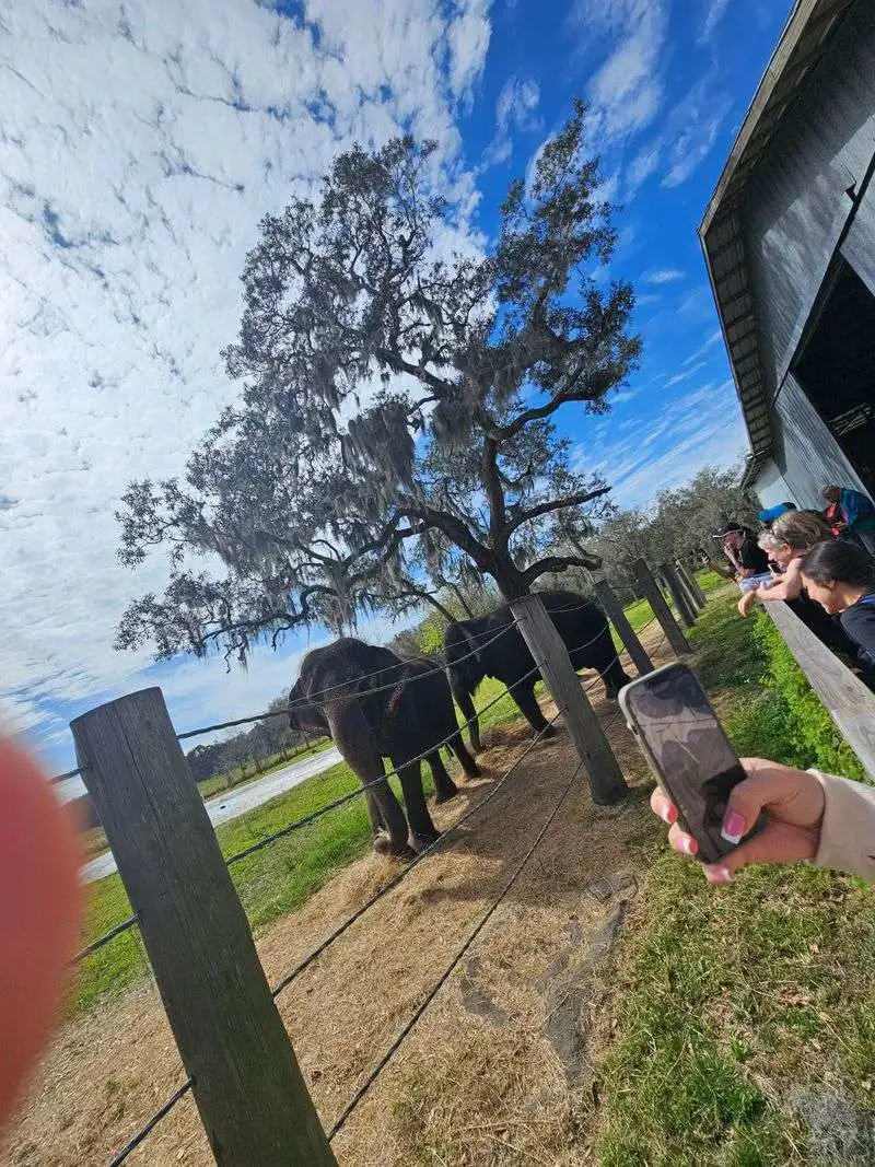 Rise and Shine Caretaker: Morning With The Herd