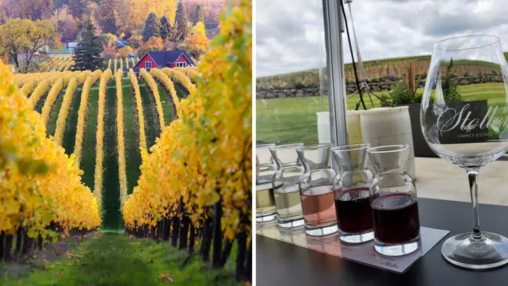 Enjoy a taste of the holiday spirit at these wineries in the Willamette Valley