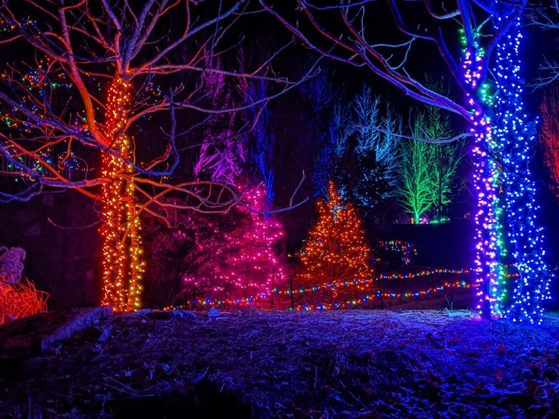 Luminary Walk at Overland Park Arboretum