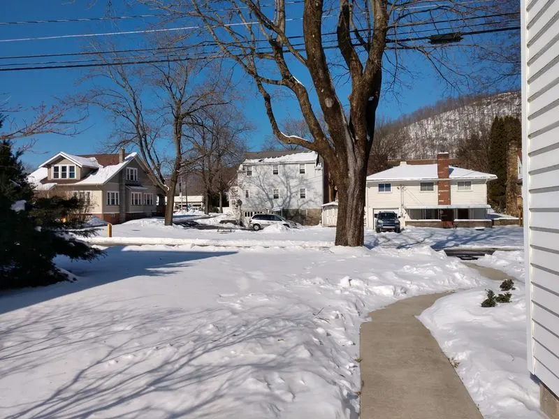 Budget-Friendly Rental Options