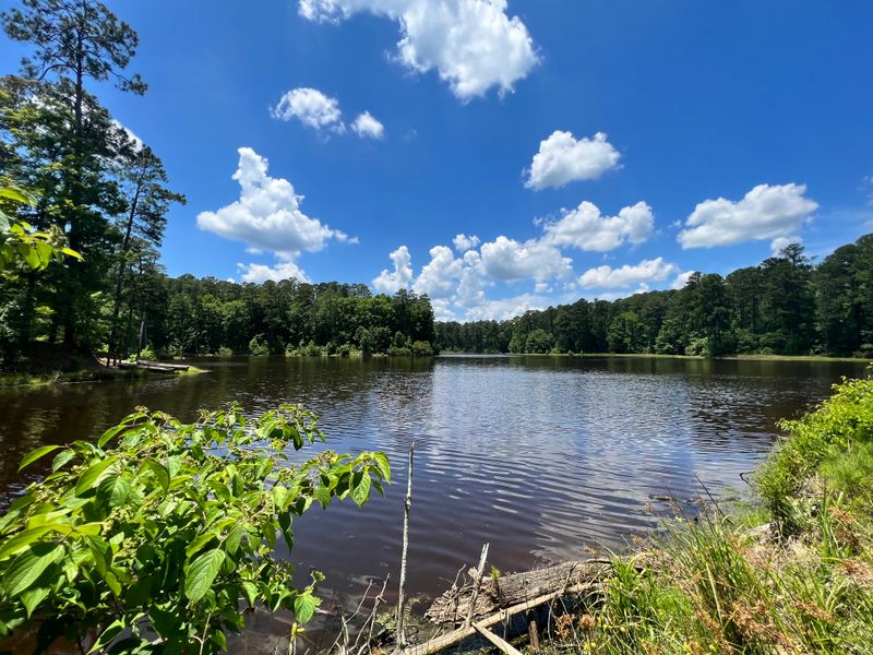A.H. Stephens State Park