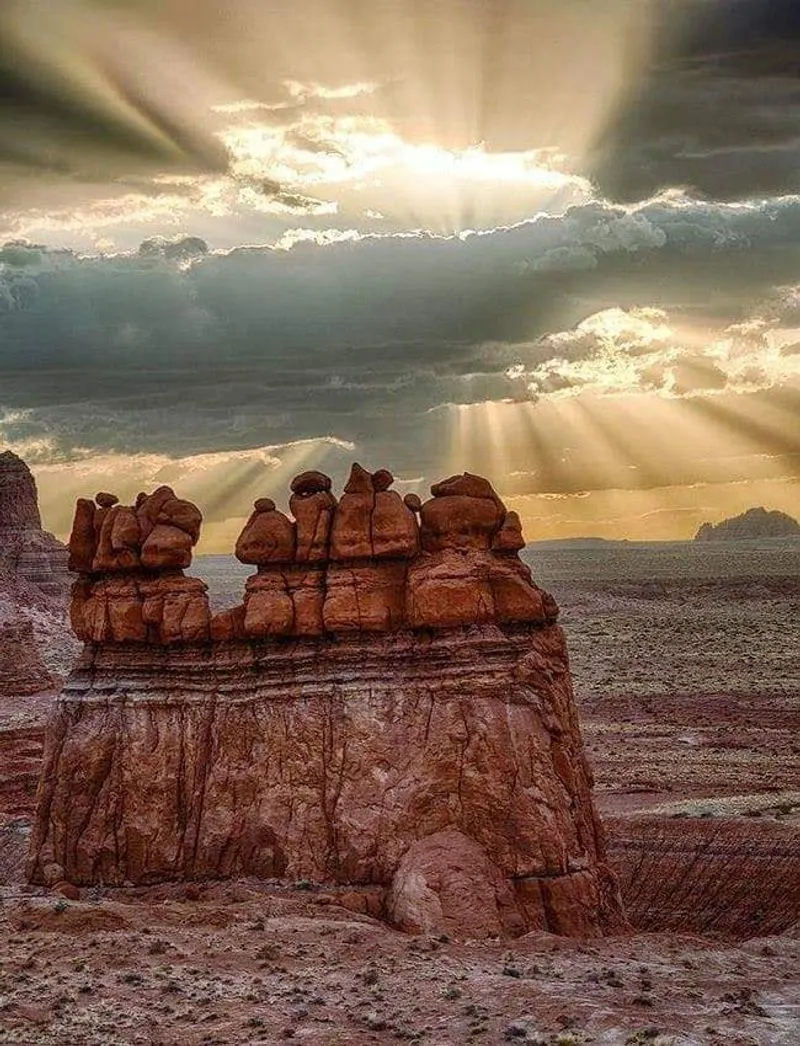 Photographic Opportunities