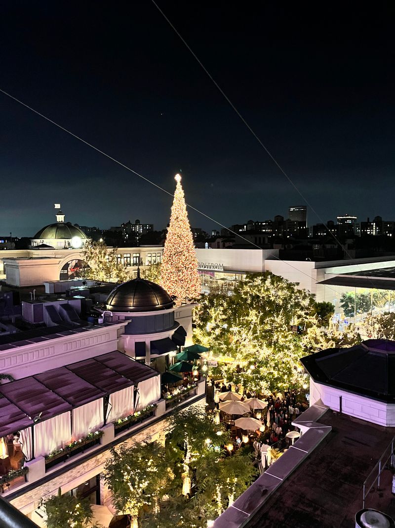 The Grove Holiday Market - Los Angeles