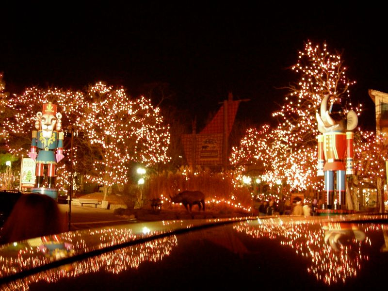 Cincinnati Zoo&rsquo;s Festival of Lights Holiday Market