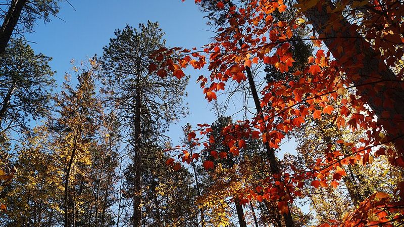 Bike & Watercraft Rentals