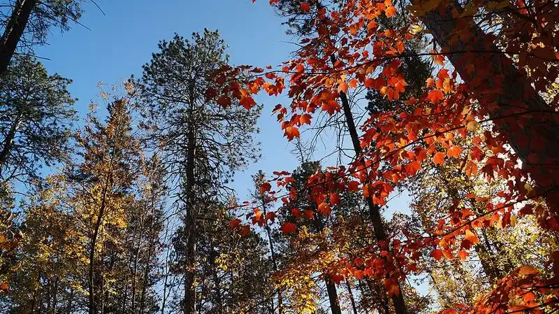 Bike & Watercraft Rentals