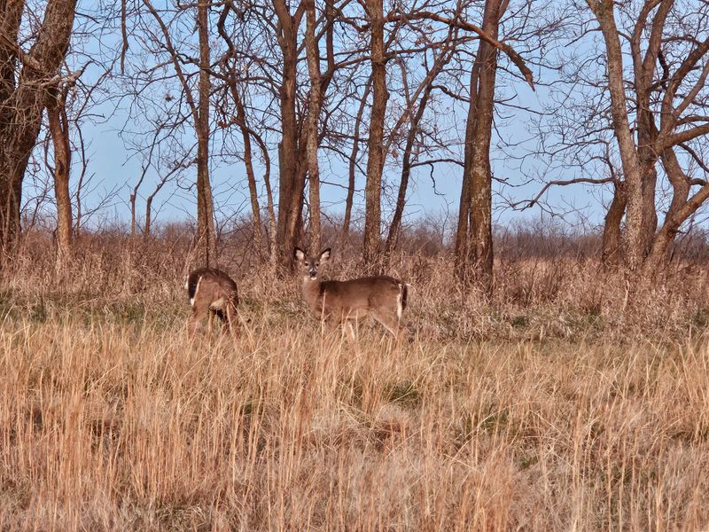 Hiking Trails and Wildlife Viewing