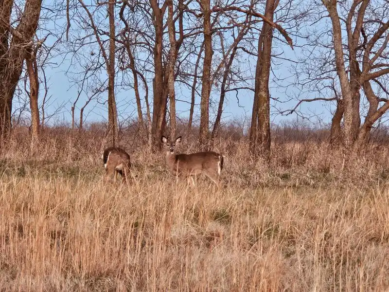 Hiking Trails and Wildlife Viewing