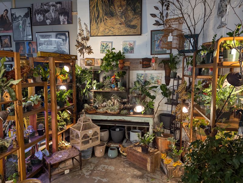 Fleur De Flea Vintage Market - Louisville