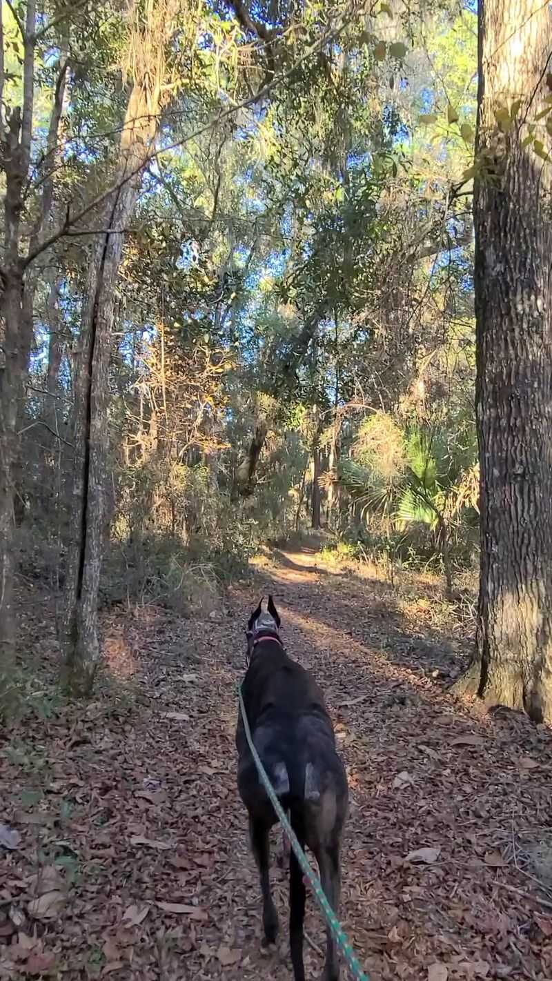 Best Seasons, Weather, and Timing