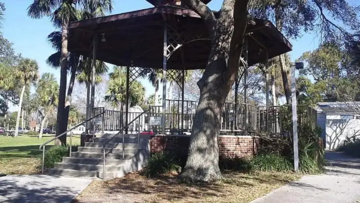 Florida has a Gulf town where palm-wrapped lights, waterfront displays, and warm December evenings shape a laid-back holiday trip