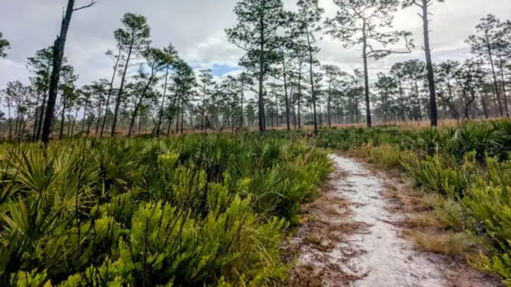 Florida’s Lesser-Known State Parks Praised for Calm Cold-Season Outings