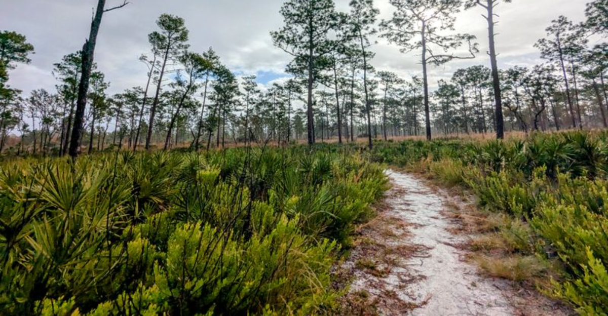 Florida’s Lesser-Known State Parks Praised for Calm Cold-Season Outings