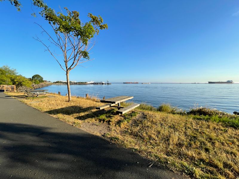 Seasonal Strategies and Weather Smarts