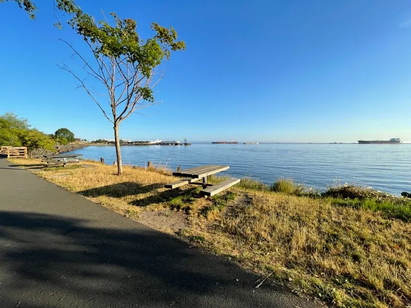 Seasonal Strategies and Weather Smarts