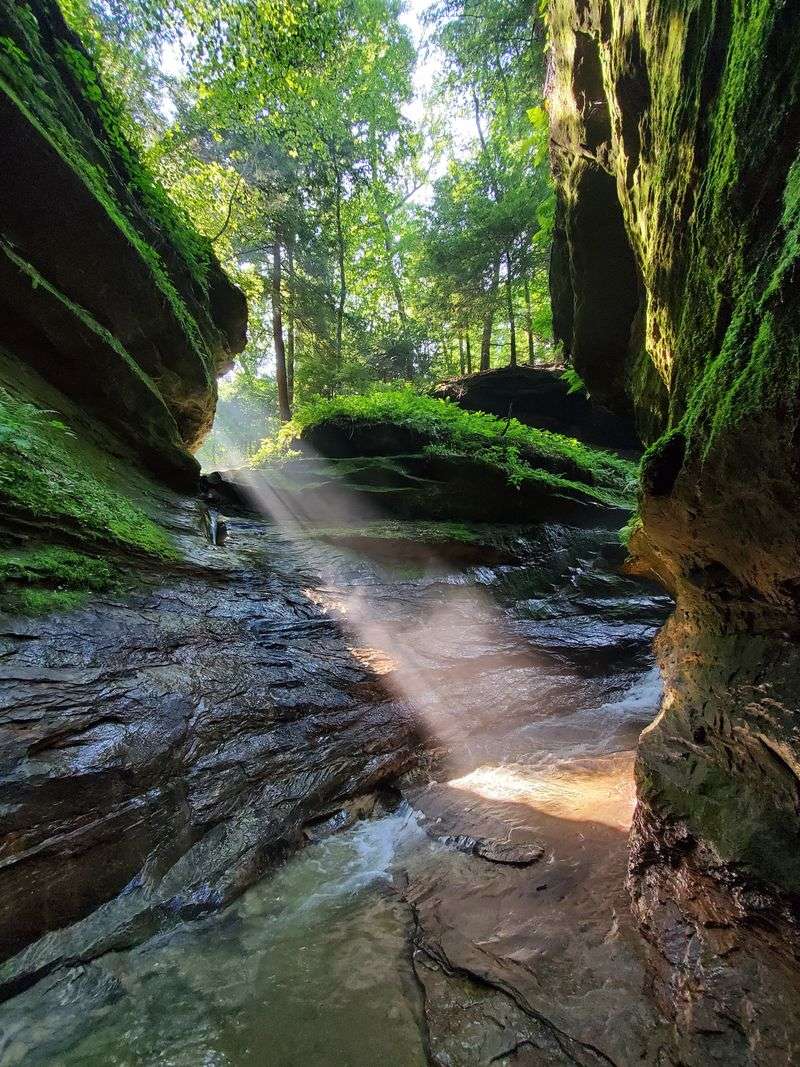 Turkey Run Narrows