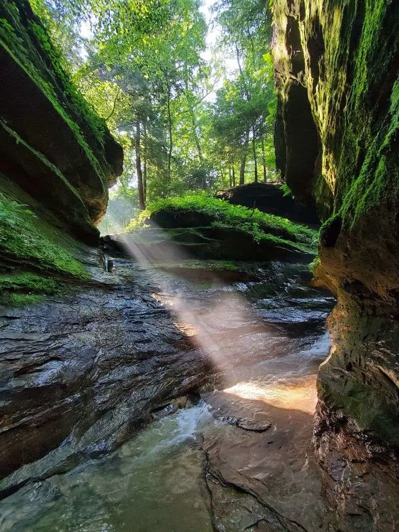 Turkey Run Narrows