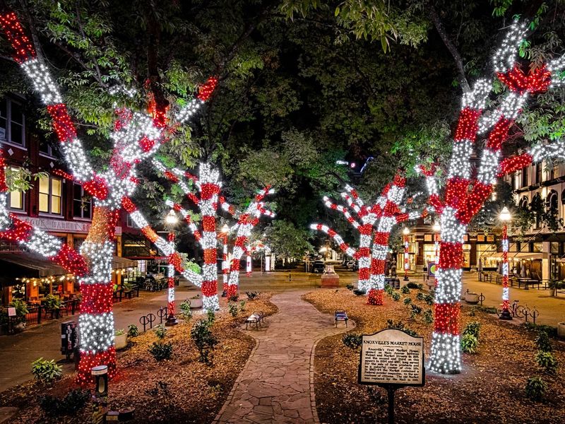 Knoxville — Market Square Holiday Market and World’s Fair venues