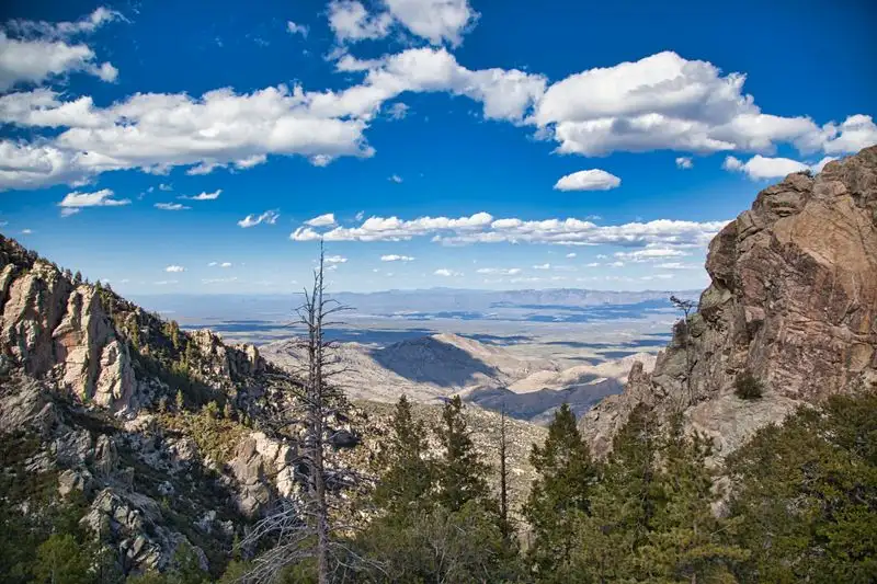 Ecological sky island transitions