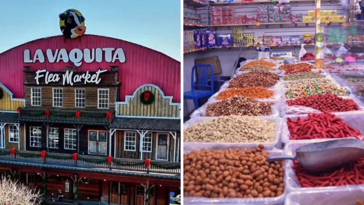 Georgia’s giant thrift market is the kind of place shoppers lose track of time in