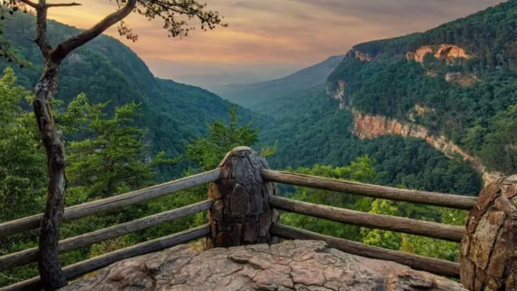 Georgia’s underappreciated state parks that reviewers enjoy during comfortable winter days