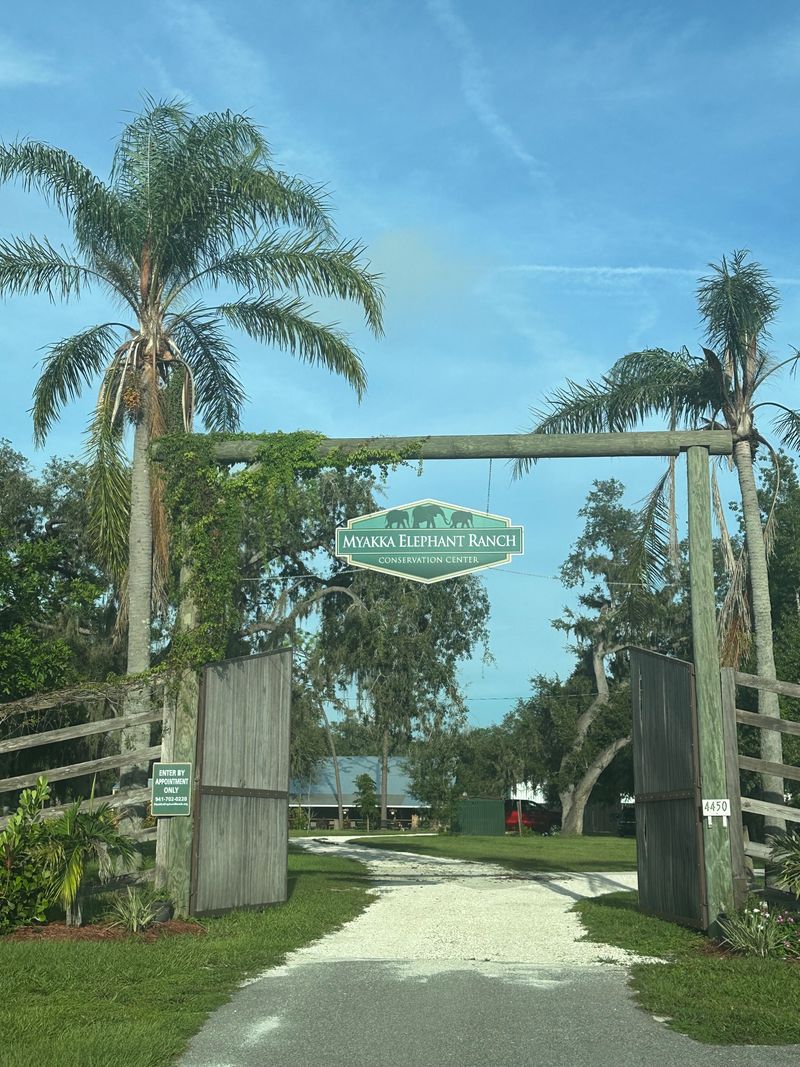 How To Book And When To Go