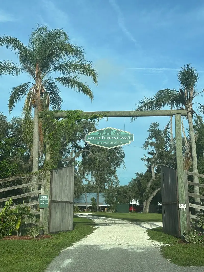 How To Book And When To Go