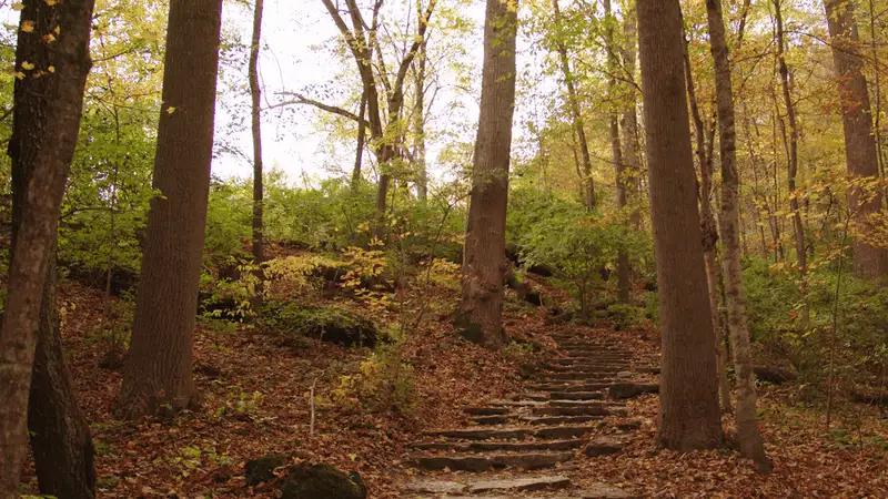 John Bryan State Park (nearby)