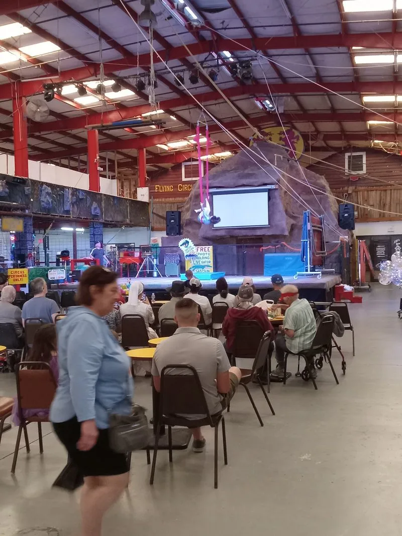 Free Circus Moments You Did Not Expect