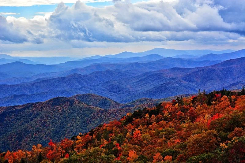 Mount Mitchell State Park