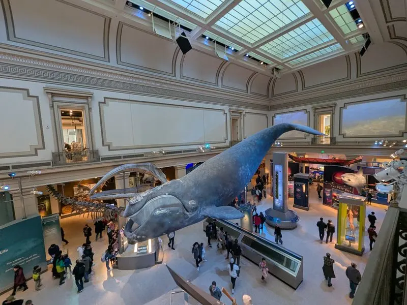 Smithsonian Museums: Off-Peak Strategy