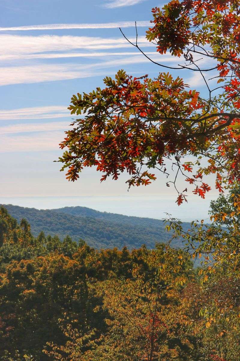 Catoctin Mountain Park Hog Rock
