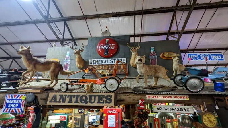 Mr. Robert at the Front