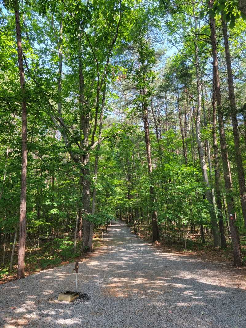 Crowders Mountain
