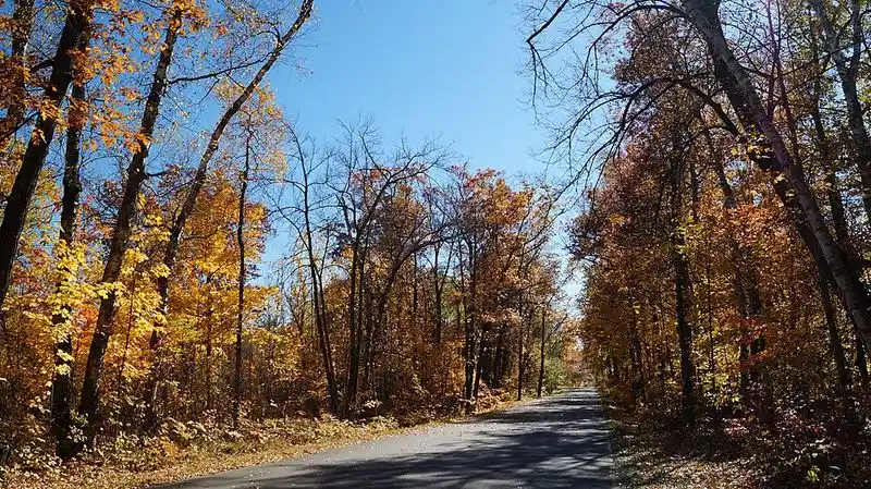 Wilderness Drive Loop