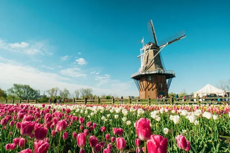 Tulip Time Festival in Holland, Michigan