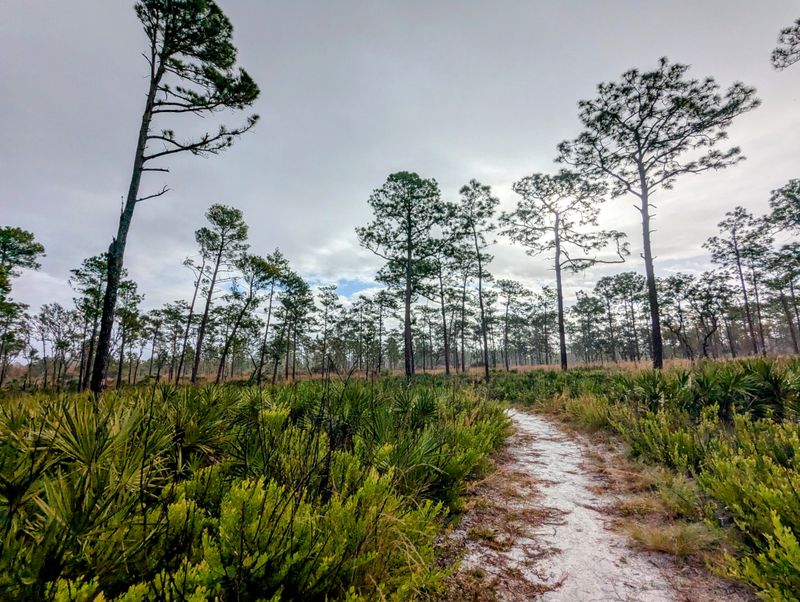 Wekiwa Springs State Park – Apopka