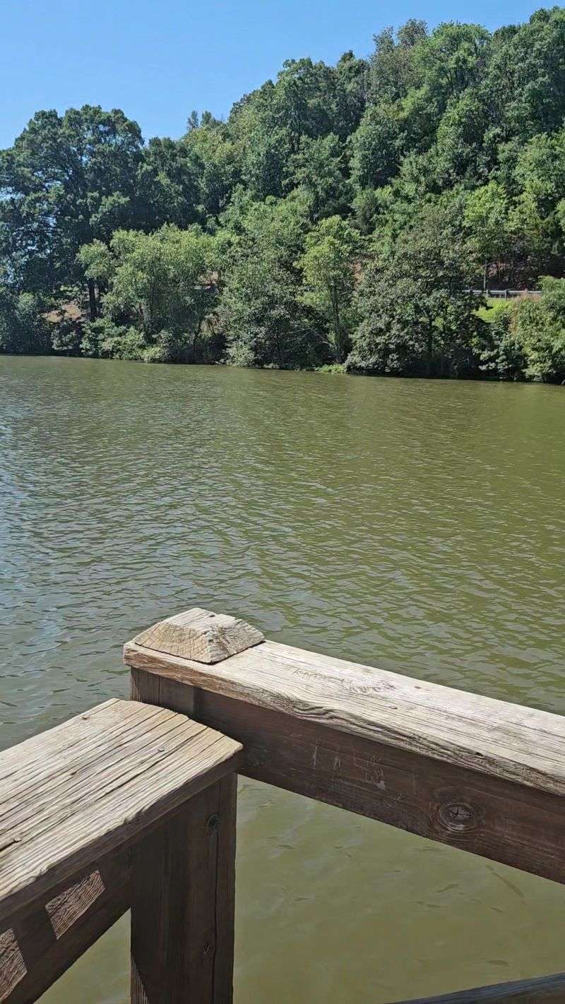 Woolly Hollow Lake: Calm Water, Calm Mind