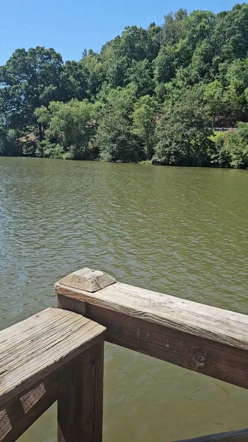 Woolly Hollow Lake: Calm Water, Calm Mind