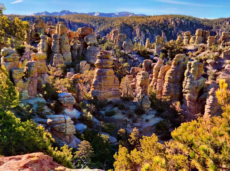 Chiricahua's Wonderland of Rocks