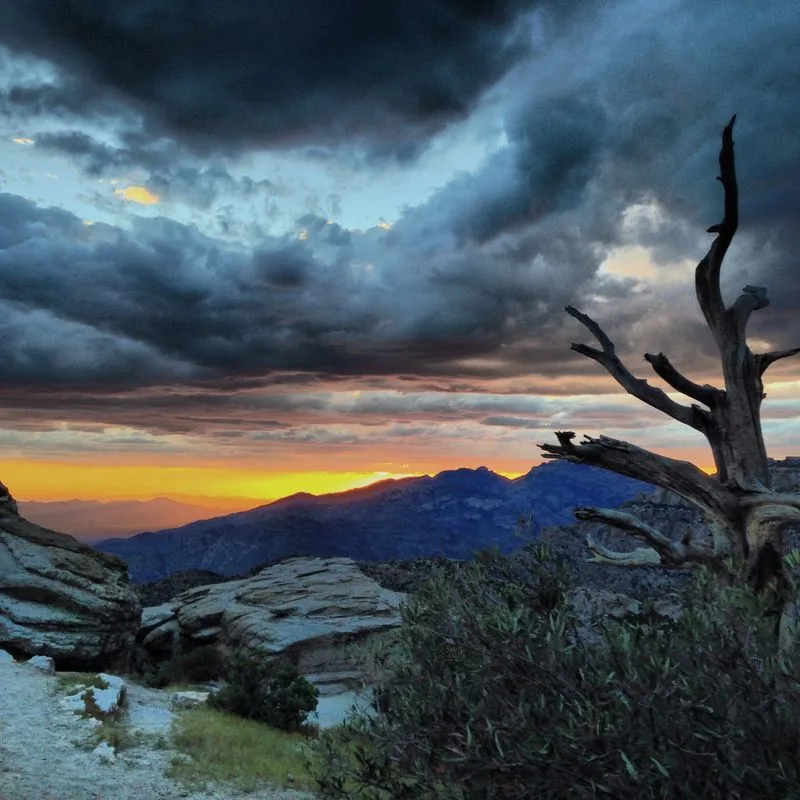 Rock climbing and hoodoo exploring