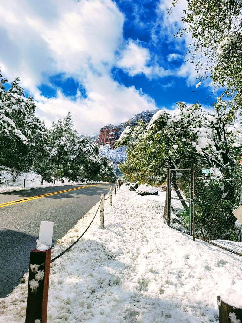 Seasonal driving and weather tips